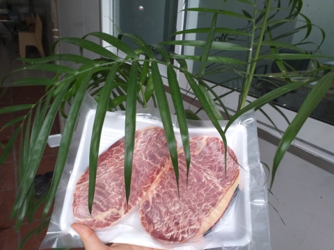 THĂN NGOẠI BÒ HOKUBE