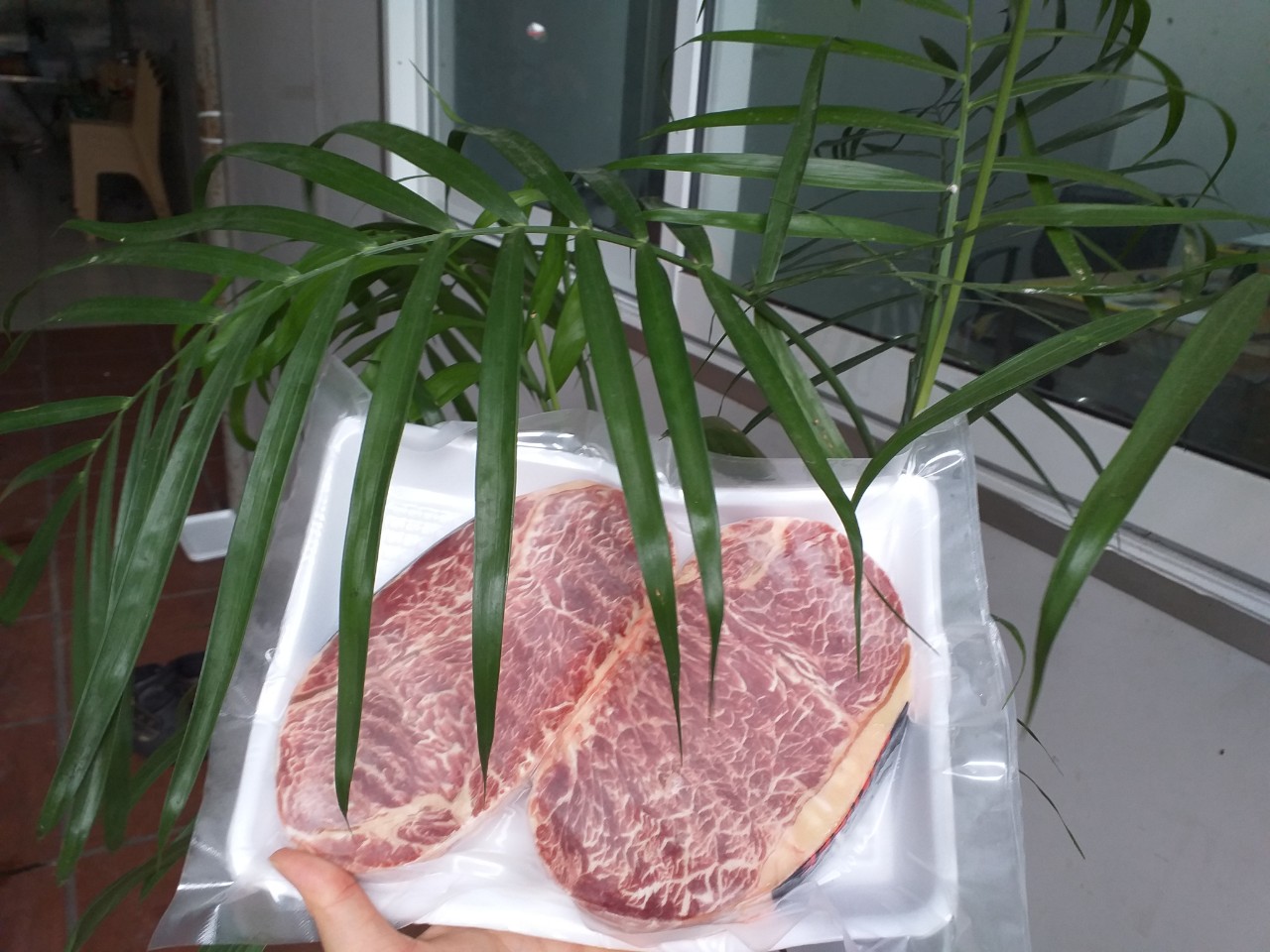 Thăn ngoại bò Hokube TLFOODs