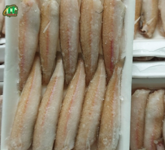 Cá đục 