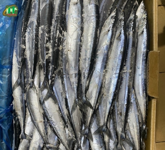 Cá thu Nhật