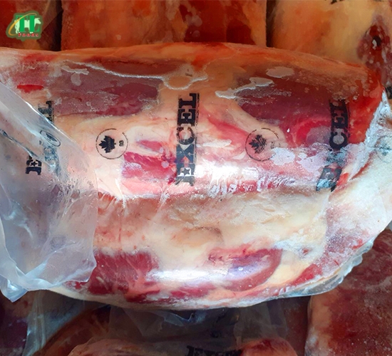 BẮP HOA BÒ CANADA