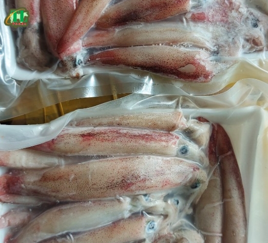 Mực trứng ghim