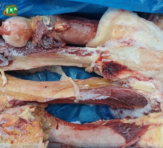 Xương ống bò Úc